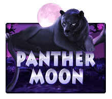 สล็อตแพนเธอร์ มูน Phanter Moon เกมสล็อตออนไลน์ค่ายโจ๊กเกอร์
